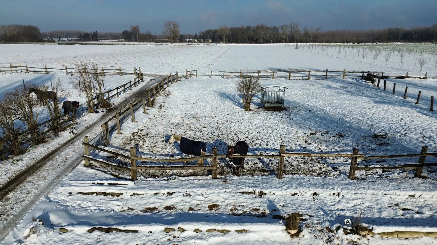 Winterkoppeln
